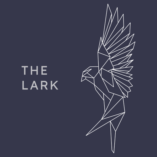 Are you a Lark? Find out your Sleep Persona